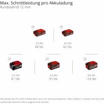 Einhell Professional Akku-Winkelschleifer AXXIO 36/230 Q 36V, 2200 W + Bosch Trennscheiben
