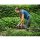 Einhell Akku-Heckenschere + Gras- und Strauchschere 18/40 18V, Pflegespray