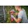 Einhell Bürste ULTRA 95/25 für Oberflächenbürste PICOBELLA 18/90