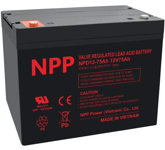 NPP Blei-Akku NPD12-75 12V / 75Ah zyklenfest Anschluss: T14 (M6)