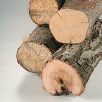 Bosch 2 x  Säbelsägeblatt S 1131 L Top for Wood zum Sägen in Holz