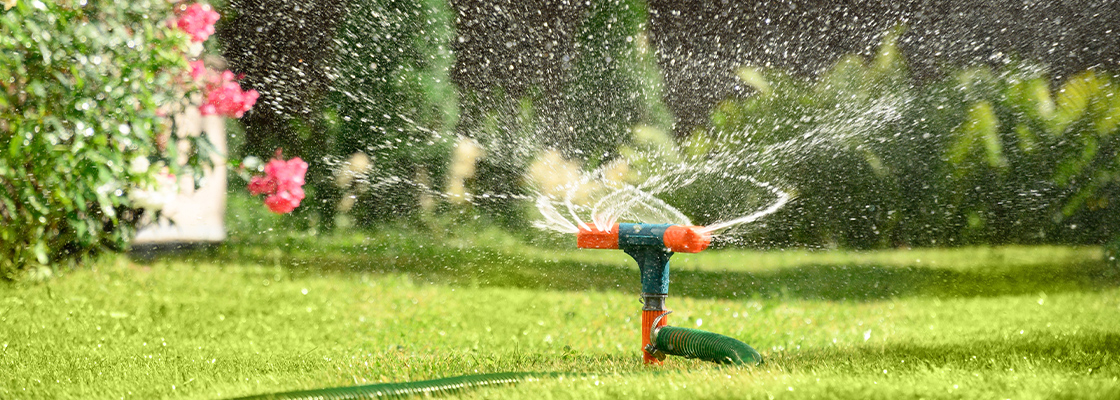 Garten bewässern: Die besten Gartenpumpen